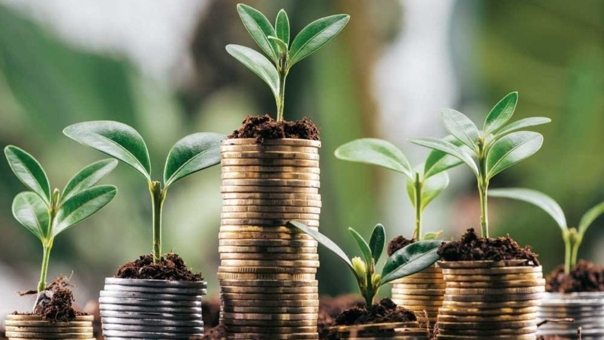 Financial Discipline