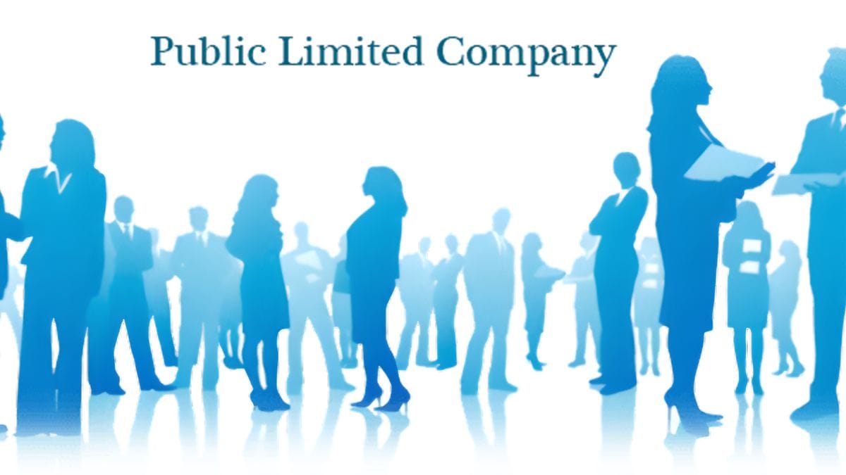Public Limited Company